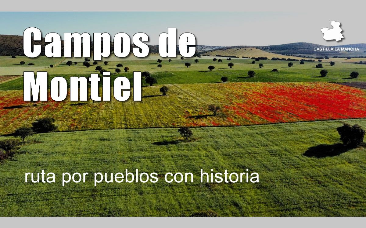 campos de montiel