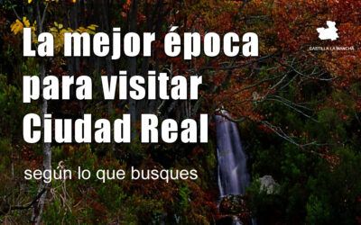 Mejor época para visitar Ciudad Real (según lo que busques)